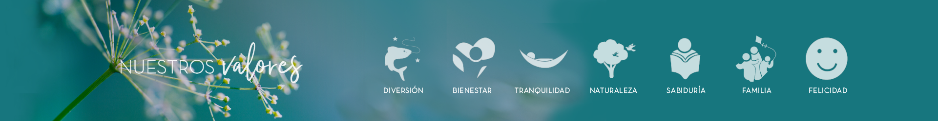 Nuestros valores banner 01