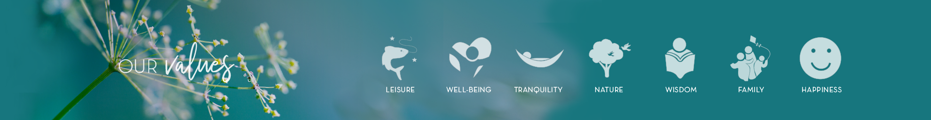 Our Values banner en 01